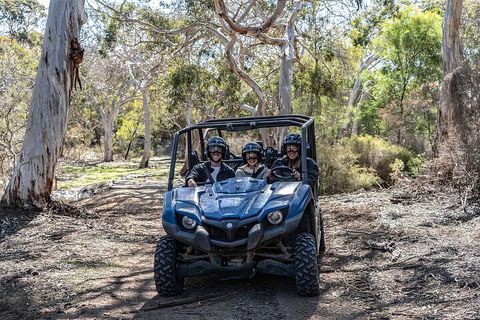 Small-Group Buggy Tour At Little Sahara With Guide - SA Accommodation 0
