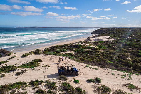 Small-Group Buggy Tour At Little Sahara With Guide - SA Accommodation 1