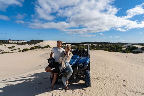 Small-Group Buggy Tour At Little Sahara With Guide - SA Accommodation 2