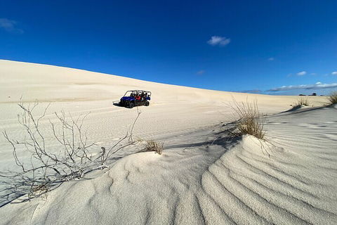 Small-Group Buggy Tour At Little Sahara With Guide - SA Accommodation 3