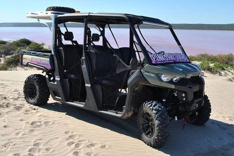 Pink Lake Small-Group Buggy Tour - SA Accommodation 1