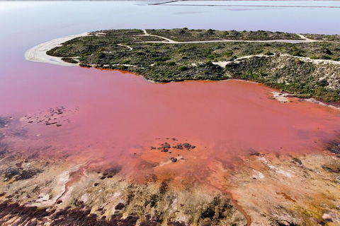 Pink Lake Small-Group Buggy Tour - SA Accommodation 2