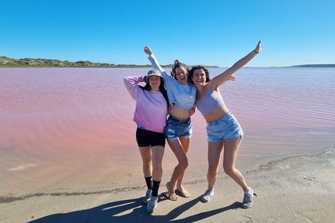 Pink Lake Small-Group Buggy Tour - SA Accommodation 3
