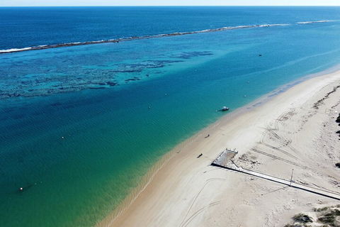 Pink Lake Small-Group Buggy Tour - SA Accommodation 5
