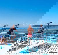 Calypso Outer Great Barrier Reef Cruise from Port Douglas - SA Accommodation