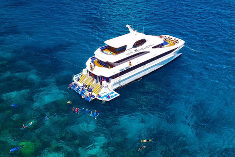 Great Barrier Reef Snorkeling And Diving Cruise From Cairns - SA Accommodation 5