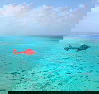 Port Douglas Scenic Flights - SA Accommodation