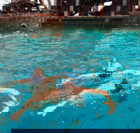 Moreton Island Snorkel and Sandboarding 4WD Day Trip from Brisbane - SA Accommodation