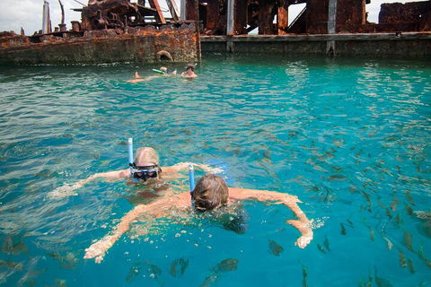 Moreton Island Snorkel And Sandboarding 4WD Day Trip From Brisbane - SA Accommodation 0