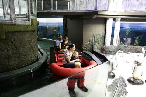 Sydney Attractions Pass: SEA LIFE Aquarium, Sydney Tower Eye, WILD LIFE Zoo And Madame Tussauds - SA Accommodation 0