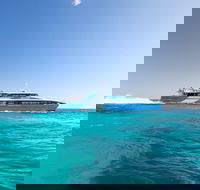 Fremantle to Rottnest Island Roundtrip Ferry Ticket - SA Accommodation
