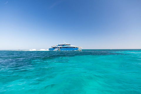 Rottnest Island Bike & Ferry Package From Fremantle - SA Accommodation 0