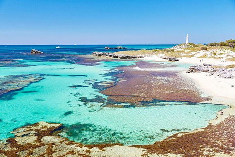 Rottnest Island Bike & Ferry Package From Fremantle - SA Accommodation 5
