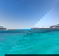 Rottnest Island Fortress Adventure Segway Package from Fremantle - SA Accommodation