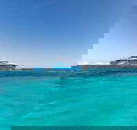Rottnest Island Bayseeker Day Trip from Perth - SA Accommodation
