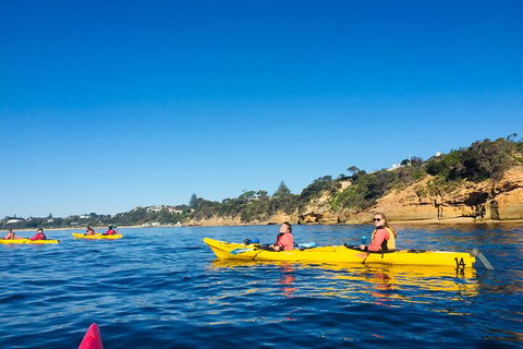 Mornington Peninsula Kayak Coastline Tour Of Dolphin Sanctuary - SA Accommodation 1