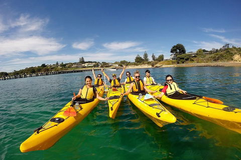 Mornington Peninsula Kayak Coastline Tour Of Dolphin Sanctuary - SA Accommodation 2