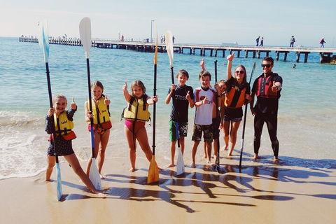 Mornington Peninsula Kayak Coastline Tour Of Dolphin Sanctuary - SA Accommodation 3