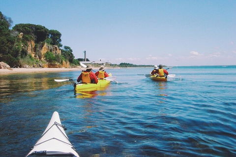 Mornington Peninsula Kayak Coastline Tour Of Dolphin Sanctuary - SA Accommodation 5