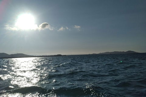 Townsville Small Group Early Morning Sailing Cruise Boat Tour Charter Hire - SA Accommodation 4