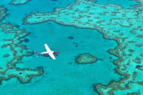 Reef And Island Scenic Flight From Airlie Beach - SA Accommodation 4