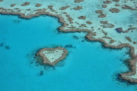 Reef And Island Scenic Flight From Airlie Beach - SA Accommodation 5