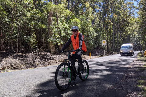 Mount Wellington Descent Cycling Tour Departs Hobart - SA Accommodation 3