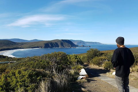 4-Day Fabulous Tasmania Tour: Wineglass Bay, Port Arthur, Devils & Bruny Island - SA Accommodation 0