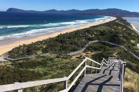 4-Day Fabulous Tasmania Tour: Wineglass Bay, Port Arthur, Devils & Bruny Island - SA Accommodation 5