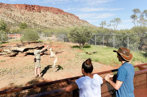 Alice Springs Desert Park General Entry Ticket - SA Accommodation 4