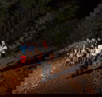 Alice Springs Desert Park Nocturnal Tour - SA Accommodation