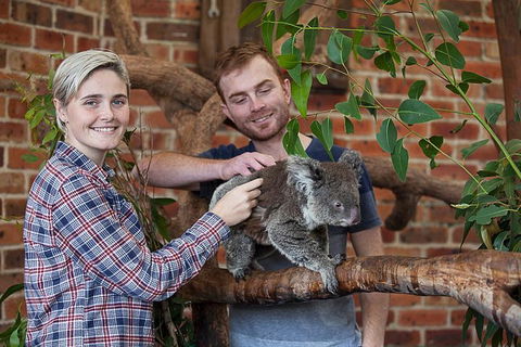 Private Tour: Blue Mountains Day Trip From Sydney - SA Accommodation 0