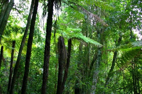 Private Tour: Blue Mountains Day Trip From Sydney - SA Accommodation 4
