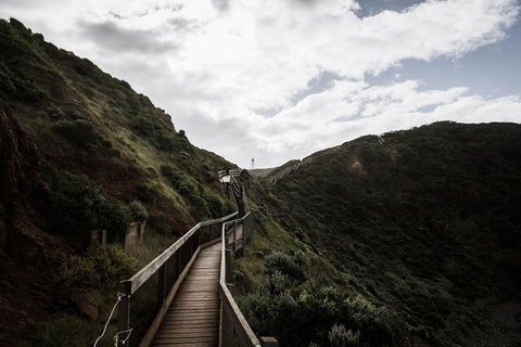 Small Group: Mornington Peninsula Hike And Hot Springs Day Tour From Melbourne - SA Accommodation 1
