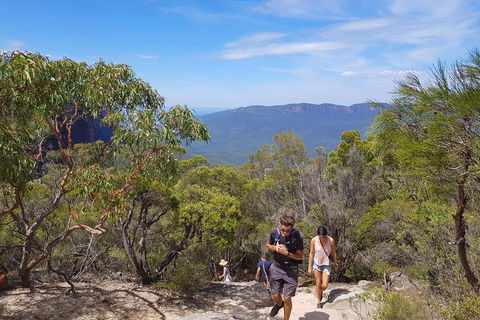 Blue Mountains Unique Small-Group Day Adventure With BBQ Lunch - SA Accommodation 3