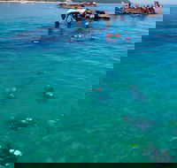 Adventure Moreton Island Scuba Dive Tour - SA Accommodation