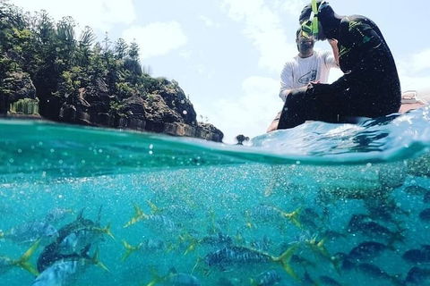 2 Night Small Group Whitsundays Sailing Adventure Aboard Mandrake - SA Accommodation 5