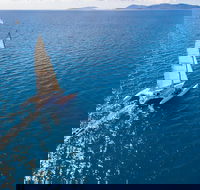 2-Night Whitsunday Islands Sailing Adventure on Trimaran Avatar - SA Accommodation