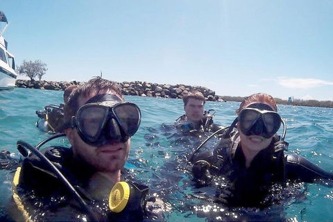 Wave Break Island Scuba Diving On The Gold Coast - SA Accommodation 0