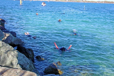 Wave Break Island Scuba Diving On The Gold Coast - SA Accommodation 1