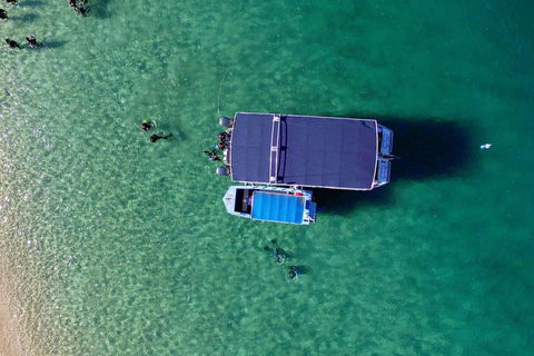 Wave Break Island Scuba Diving On The Gold Coast - SA Accommodation 2