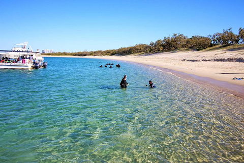 Wave Break Island Scuba Diving On The Gold Coast - SA Accommodation 4