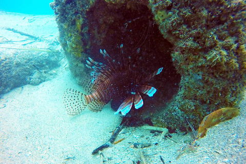 Wave Break Island Scuba Diving On The Gold Coast - SA Accommodation 5