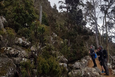 Kunanyi / Mt. Wellington Guided Hiking Tour - SA Accommodation 0