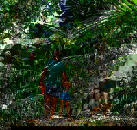 Full Day Daintree Rainforest and Mossman Gorge Tour - SA Accommodation