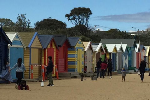 Private Half Day Melbourne City Tour With Local Guide - SA Accommodation 2