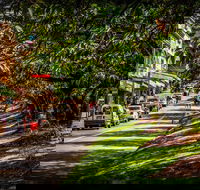 Fully Inclusive Blue Mountains Private Tour inc Scenic World  Featherdale entry - SA Accommodation