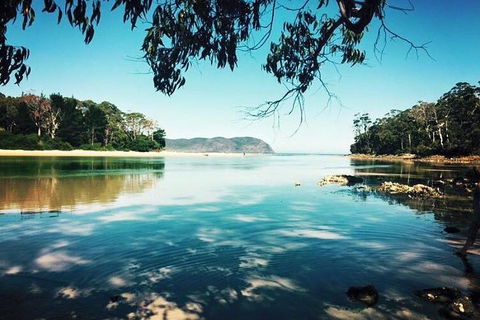 Full-Day Guided Bruny Island Tour From Hobart - SA Accommodation 1