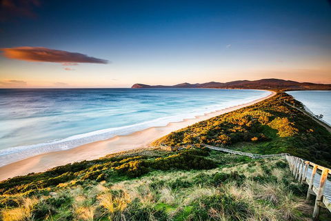 Full-Day Guided Bruny Island Tour From Hobart - SA Accommodation 2