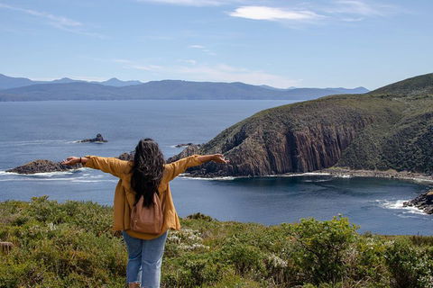 Full-Day Guided Bruny Island Tour From Hobart - SA Accommodation 3